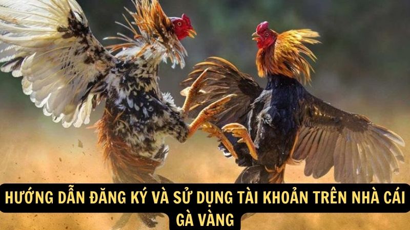 Hướng dẫn đăng ký và sử dụng tài khoản trên Nhà Cái Gà Vàng