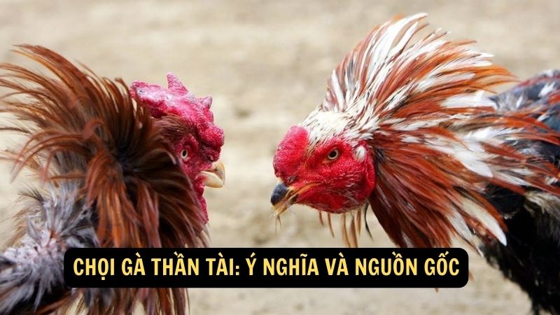 Chọi Gà Thần Tài: Ý nghĩa và nguồn gốc