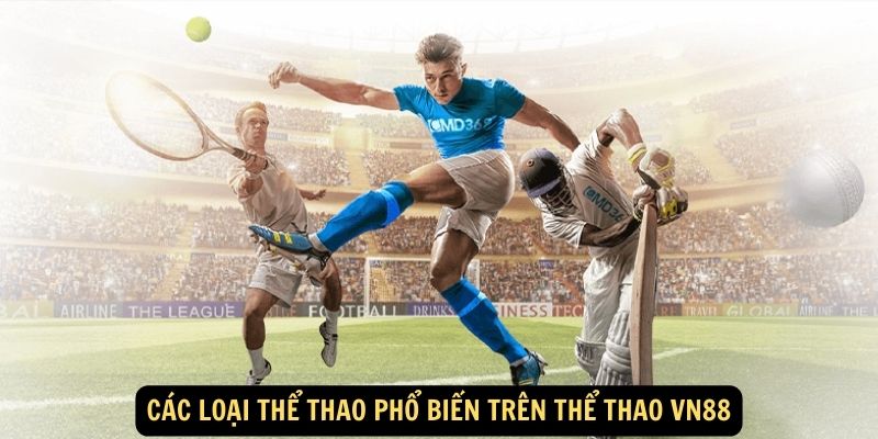 Các loại thể thao phổ biến trên Thể Thao vn88